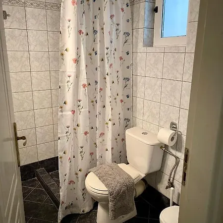 Irene Apartment Ioannina Buitenkant foto